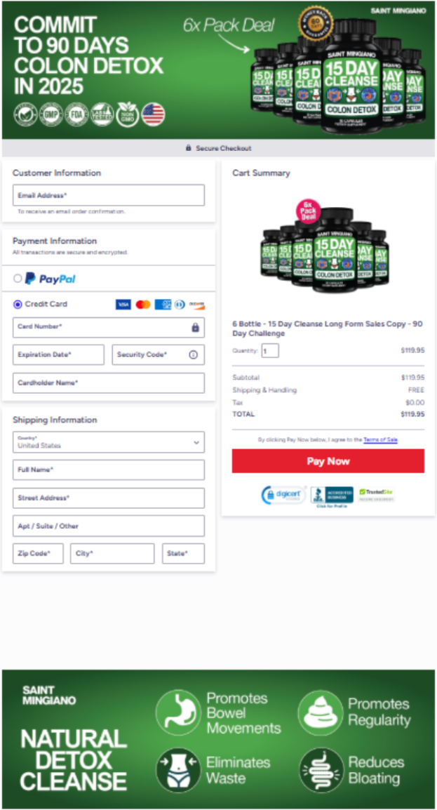 Secure checkout payment protection for safe online purchase